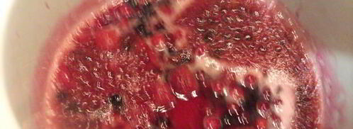 торт-безе рождественский венок. Шаг 8