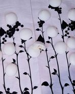 Веганское безе