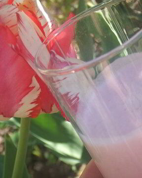 Домашний йогурт