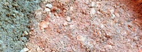 чизкейк халва-хурма. Шаг 3