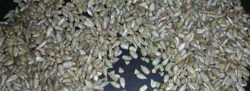 халва домашняя из семечек. Шаг 3