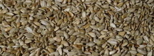 халва домашняя. Шаг 3