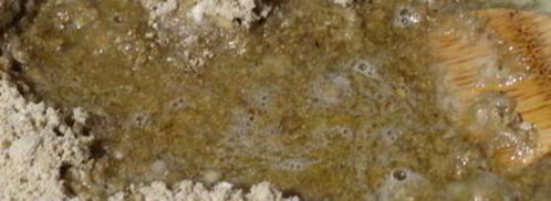 халва домашняя. Шаг 10