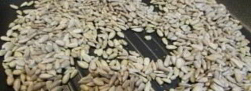 халва подсолнечная нежная. Шаг 3