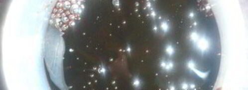 семени халвасы — халва на соке пророщенных зерен пшеницы. Шаг 9