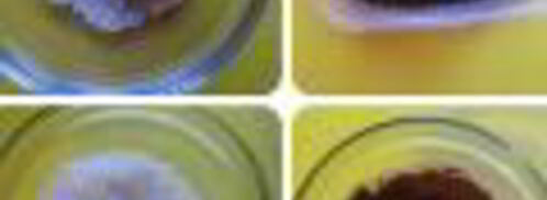 нутовые конфетки. Шаг 6