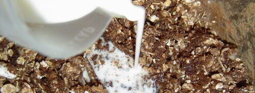 шоколадные конфеты каштаны за 20 минут. Шаг 5