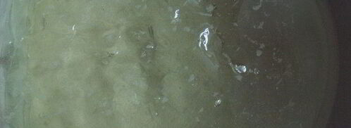 апельсиново-маковый рулет с кремом из маскарпоне. Шаг 9