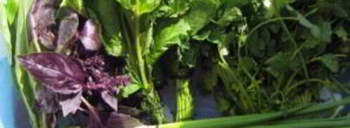 творожный крем с зеленью. Шаг 3