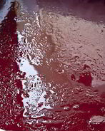 Мармелад из красной смородины