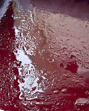 Мармелад из красной смородины