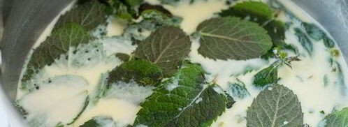 мятное мороженое с шоколадом. Шаг 4