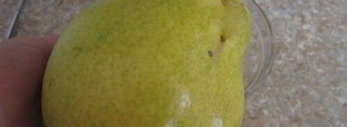 конфеты с грушово-мятным муссом. Шаг 10