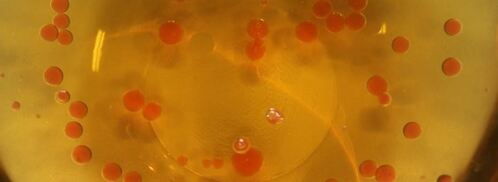 мусс из куриной печенки с икрой из морса. Шаг 7