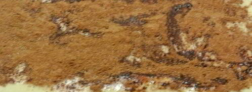 кулич с корицей. Шаг 8