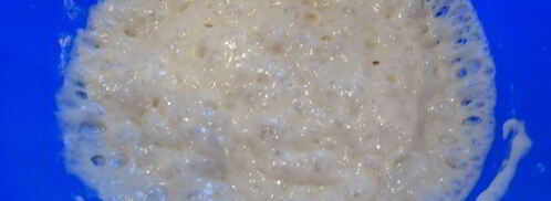 морковный кулич с клюквой. Шаг 5