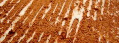 тирамису без кофе. Шаг 8