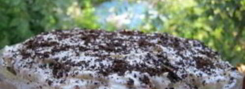 тирамису из печенья и творога. Шаг 6