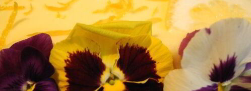 тирамису с лимончелло. Шаг 5