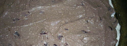 творожный торт-десерт с пьяными вишнями в стиле тирамису. Шаг 20