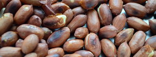 яблочно-шоколадная паста. Шаг 4