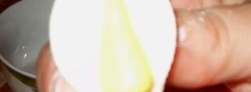 мастика из маршмеллоу и розы. Шаг 14