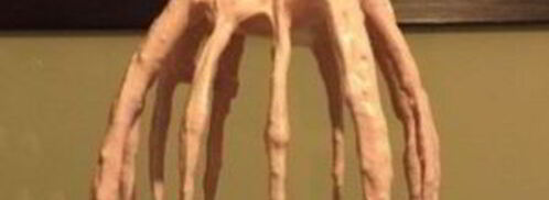 вишневый зефир. Шаг 7