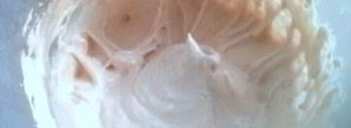 зефир из яблочного джема. Шаг 6