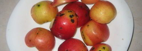 зефир по госту. Шаг 3