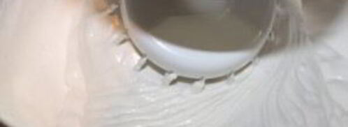 зефир яблочный. Шаг 7