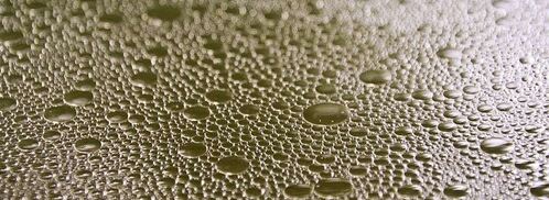 бешбармак по-казахски. Шаг 18