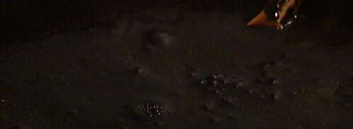 черный рис с кальмарами и морскими гребешками. Шаг 7