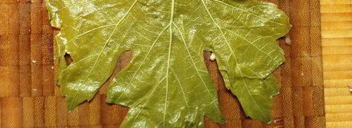 ароматная долма с мацони. Шаг 7