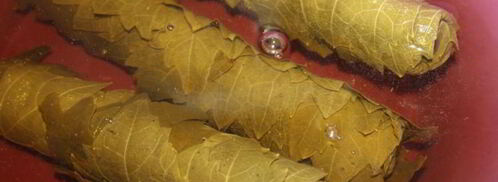 долма из маринованых виноградных листьев с говядиной. Шаг 3