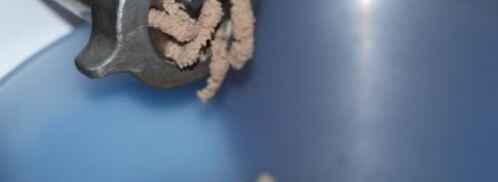 голубцы из пекинской капусты с отварным мясом. Шаг 8