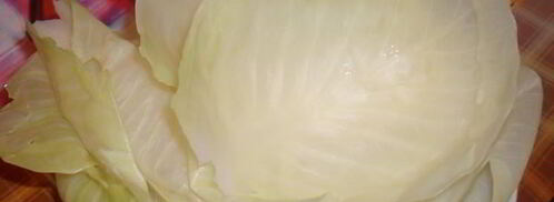 голубцы по-домашнему. Шаг 8