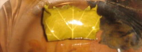 турецкая долма с хайдари. Шаг 6