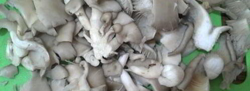 грибы вешенки с овощами по-корейским мотивам. Шаг 3