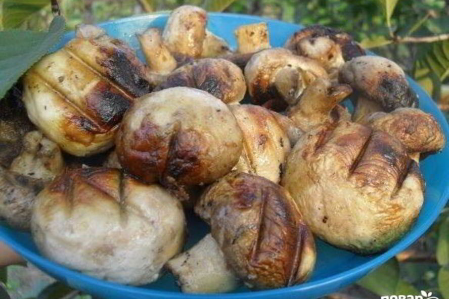 Рецепт шампиньонов гриль