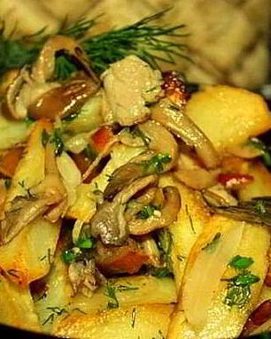 Вешенки, жареные с картошкой