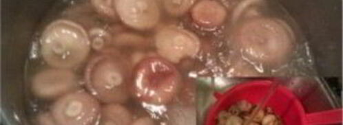 волнушки, жареные в сметанном соусе. Шаг 3