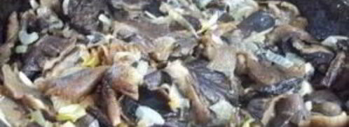 замороженные жареные грибы. Шаг 3