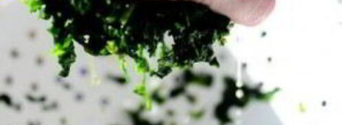 запеченные грибы, фаршированные сыром и шпинатом. Шаг 5