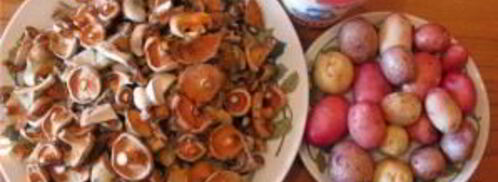 жареные грибы рыжики. Шаг 3