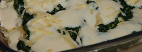 лазанья с курицей и шпинатом. Шаг 11