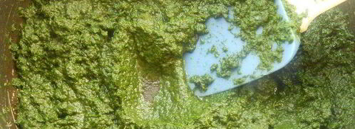 паста ракушки со шпинатом, рикоттой и кедровыми орешками. Шаг 7