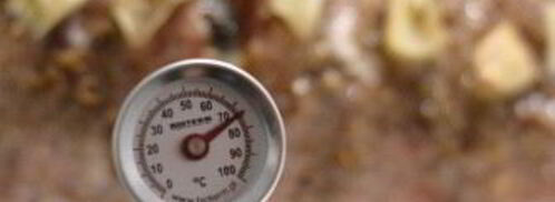 буженина домашняя. Шаг 4