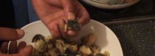 отбивные из рапанов. Шаг 3