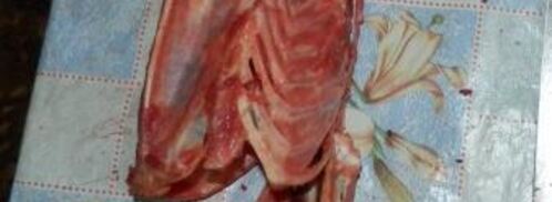 утка запеченая без косточек под двумя соусами. Шаг 4