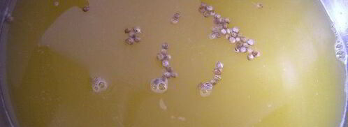 апельсиновая капуста. Шаг 3